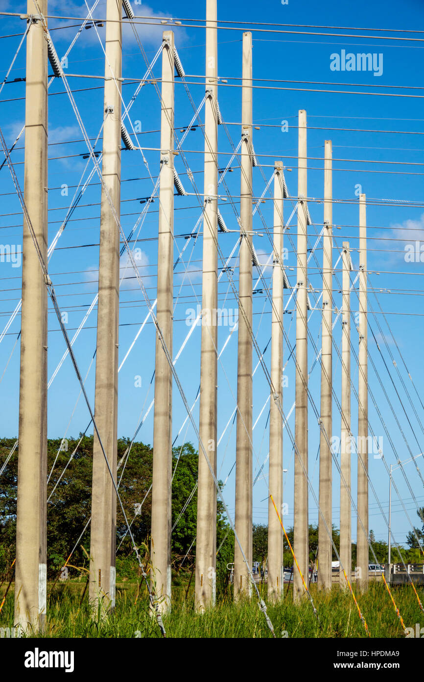 Miami Florida,utility poles,Florida Power & Light,FPL,from Turkey Point Nuclear Generating Station,FL161224049 Stock Photo