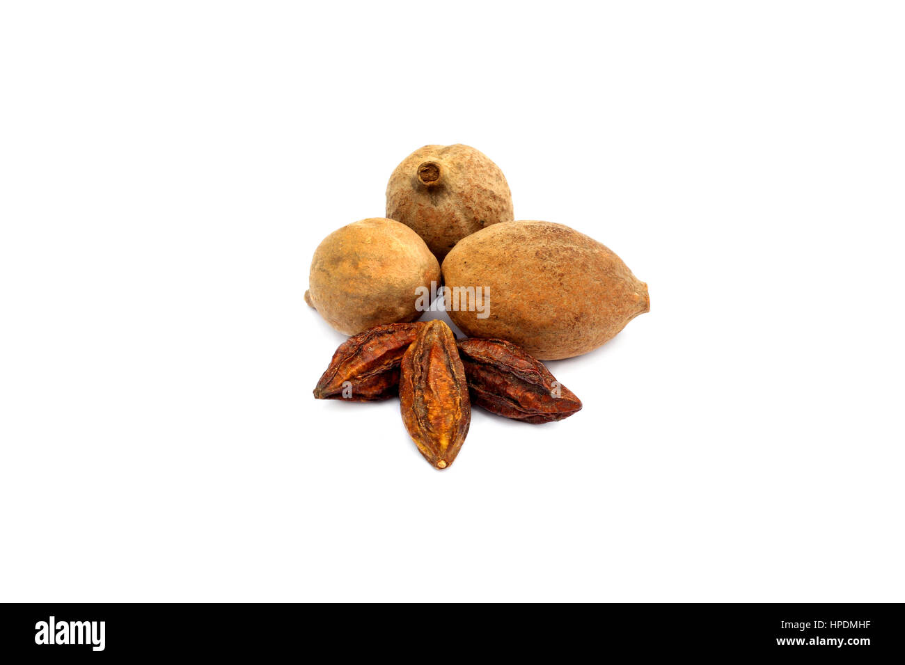 Medicinal Bahera & Haritaki fruit on white background Stock Photo