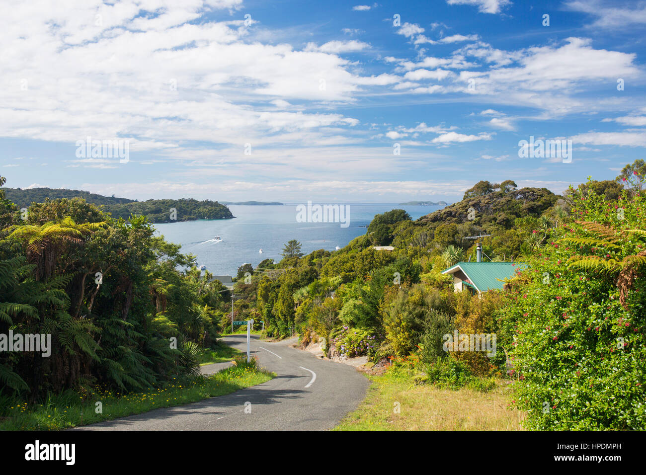 Oban, Stewart Island, Southland, New Zealand. View down steep hill to Halfmoon Bay. Stock Photo