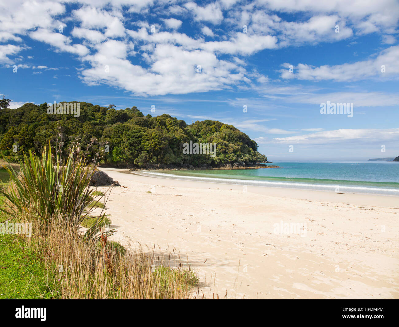 Oban, Stewart Island, Southland, New Zealand. View along Butterfield Beach, Halfmoon Bay. Stock Photo
