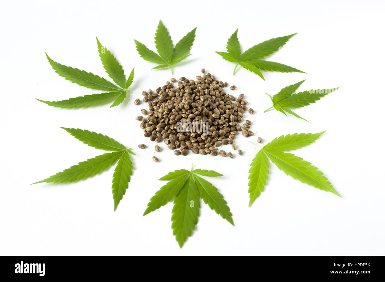cannabis marijunana green leaves raw seed detail Stock Photo