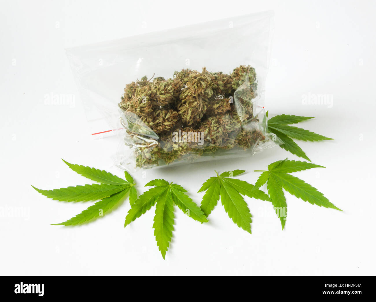 cannabis marijunana medicine dose bag green leaves detail Stock Photo