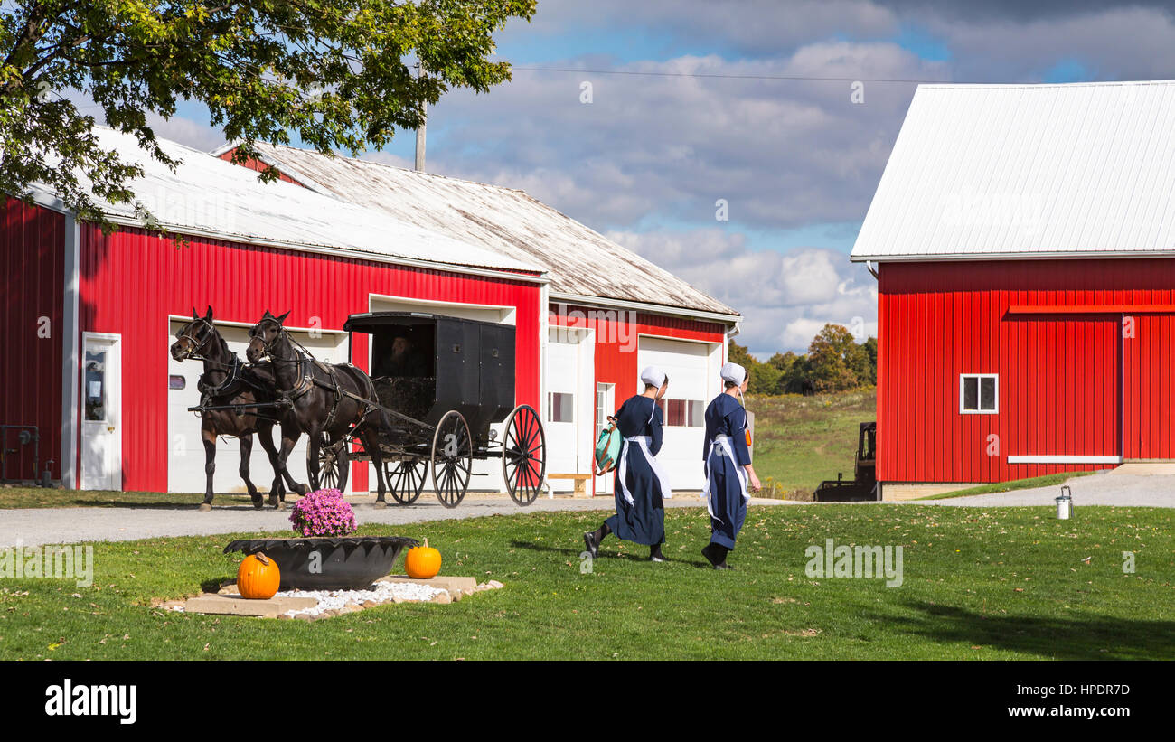 An Amish farm home with horse and buggies near Kidron, Ohio, USA Stock