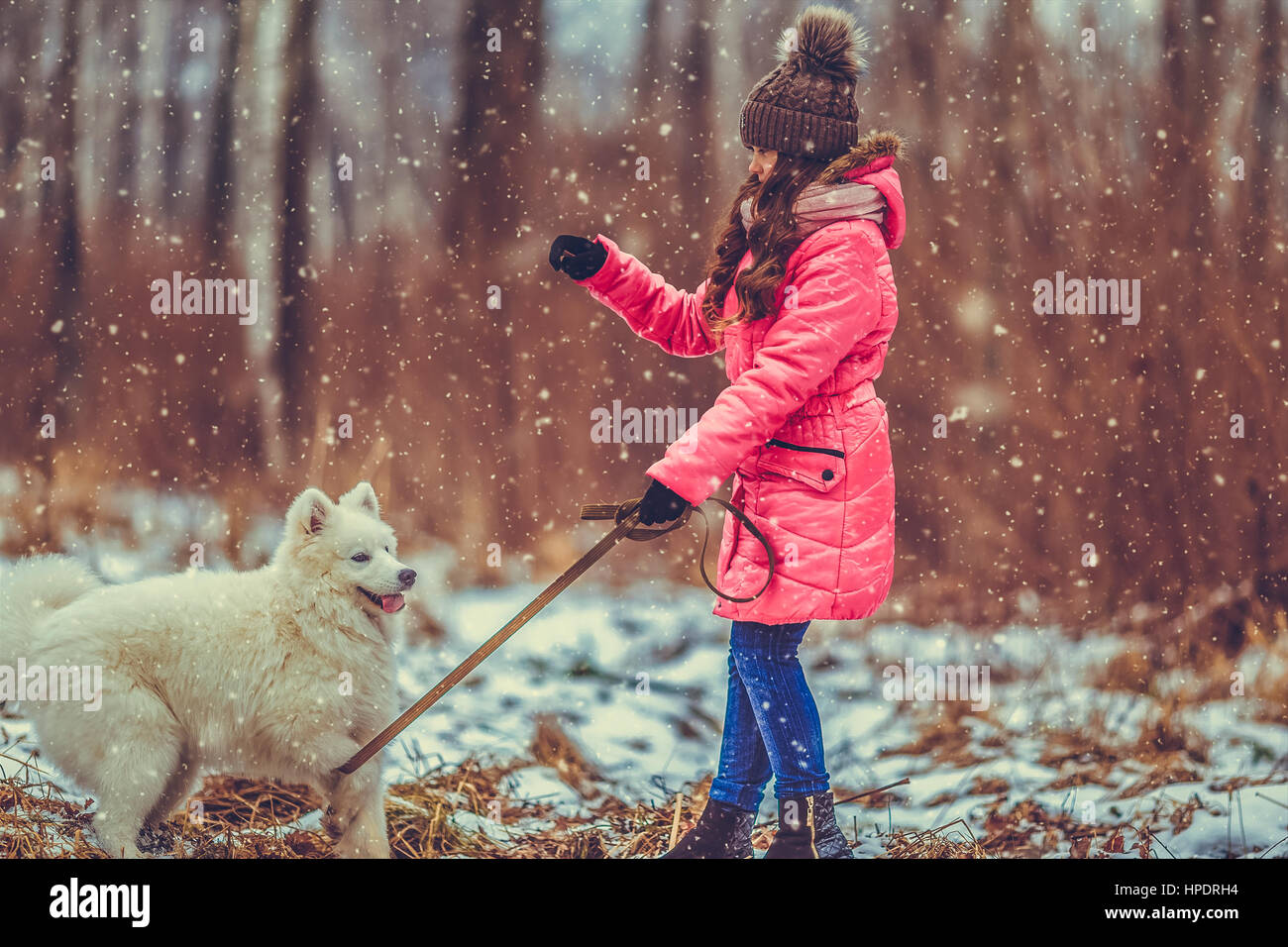 Happy girl with dog in winter forest Stock Photo - Alamy