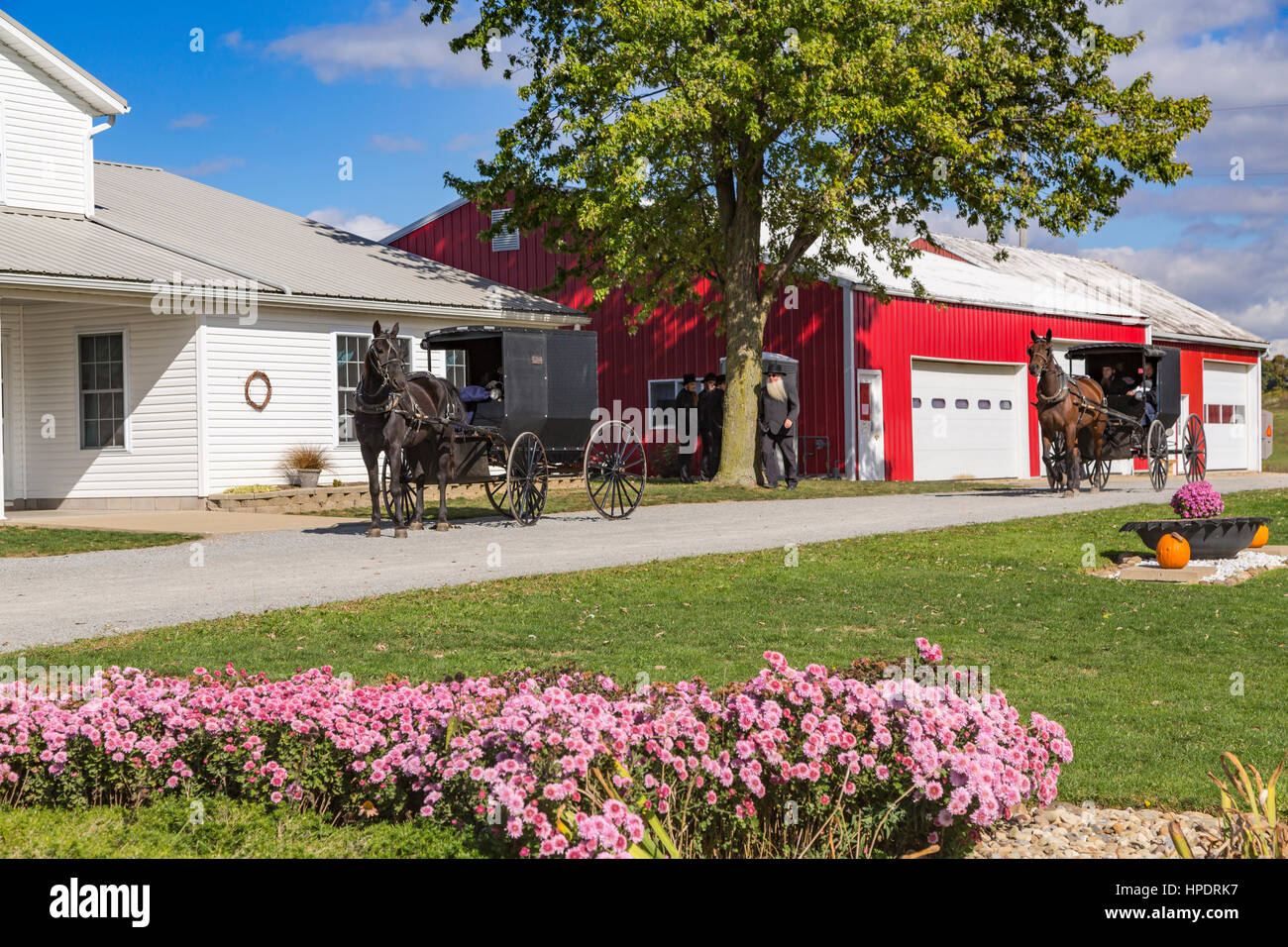 An Amish farm home with horse and buggies near Kidron, Ohio, USA Stock