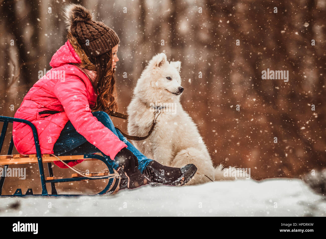 Happy girl with dog in winter forest Stock Photo - Alamy