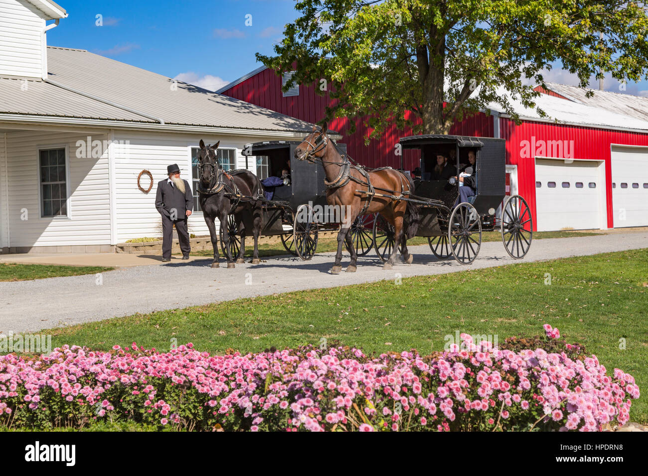 An Amish farm home with horse and buggies near Kidron, Ohio, USA Stock