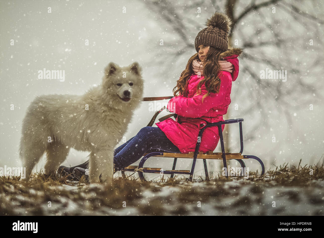 Happy girl with dog in winter forest Stock Photo - Alamy