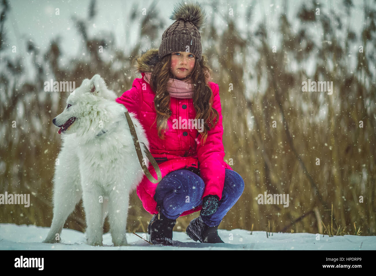 Happy girl with dog in winter forest Stock Photo - Alamy