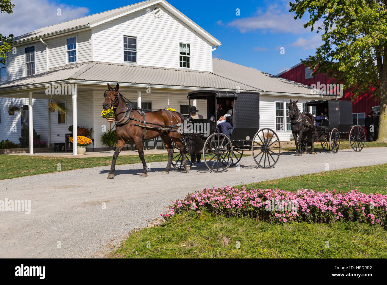 An Amish farm home with horse and buggies near Kidron, Ohio, USA Stock