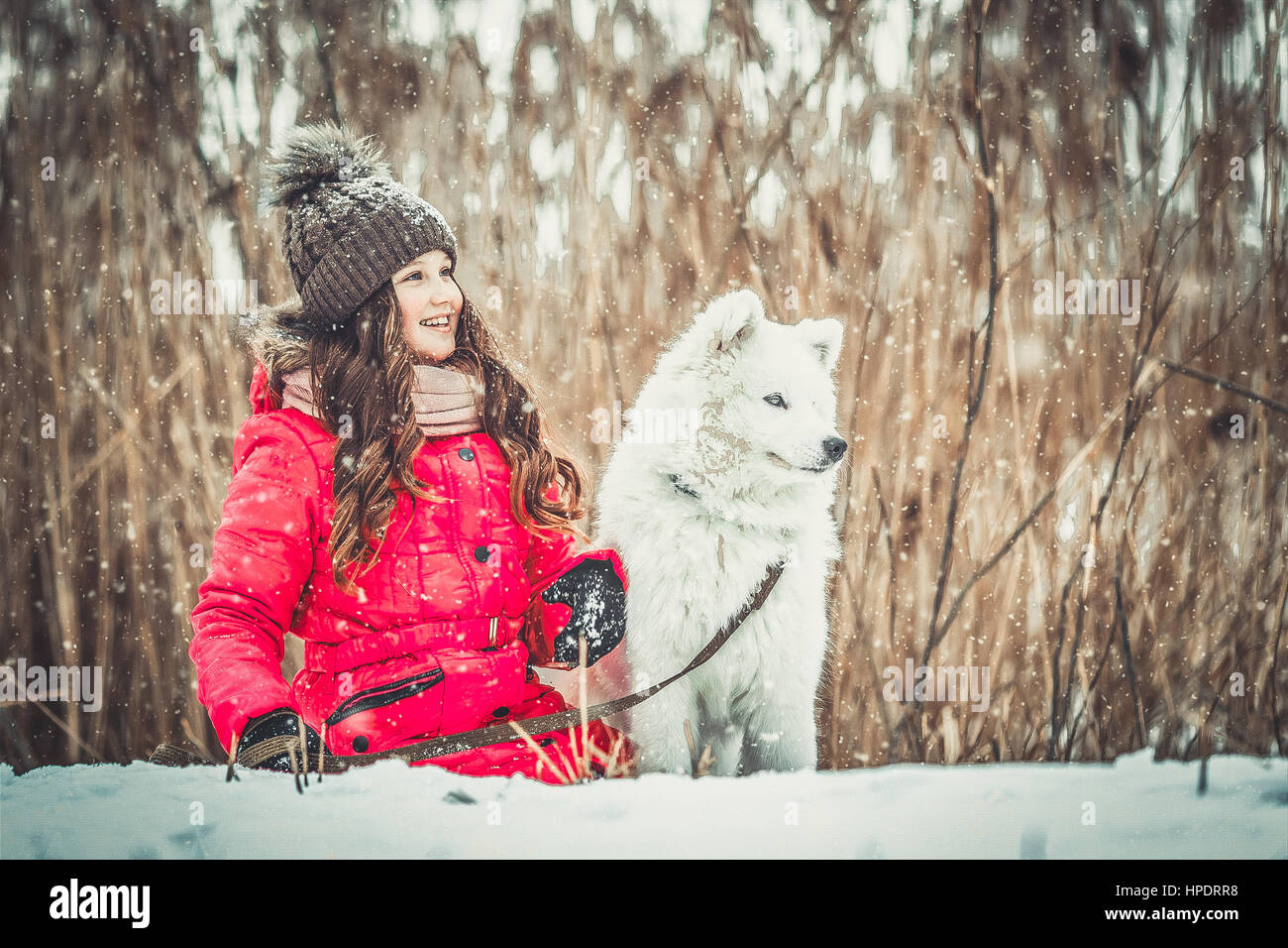 Happy girl with dog in winter forest Stock Photo - Alamy