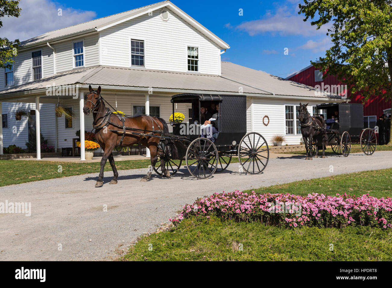 An Amish farm home with horse and buggies near Kidron, Ohio, USA Stock