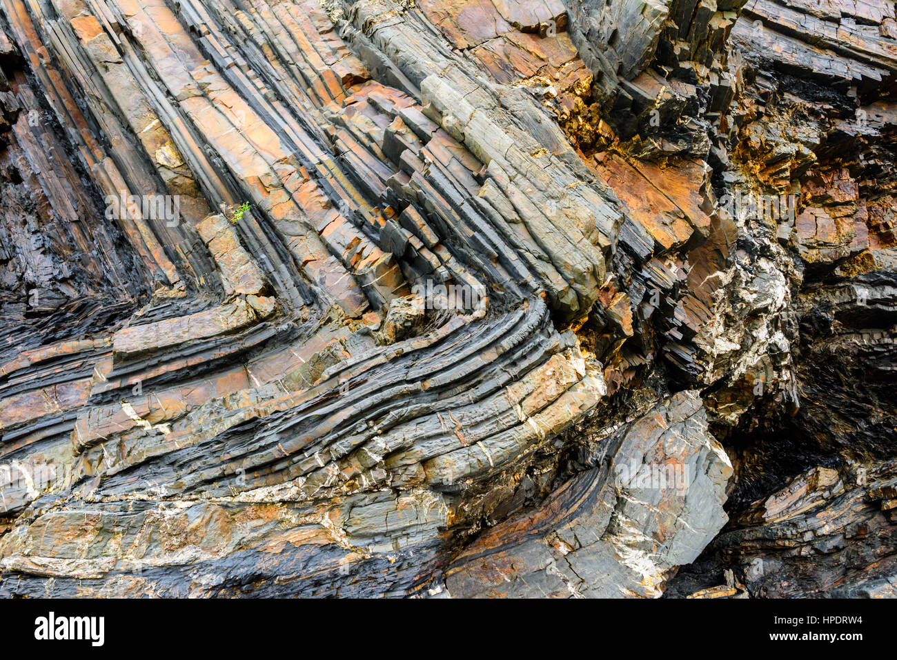 Chevron folding in the sedimentary rocks in the cliff at Duckpool on the Heritage Coast of North Cornwall, England. Stock Photo