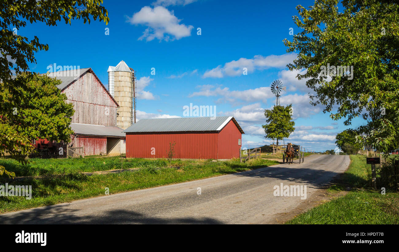 Horse Drawn Buggies High Resolution Stock Photography and Images - Alamy