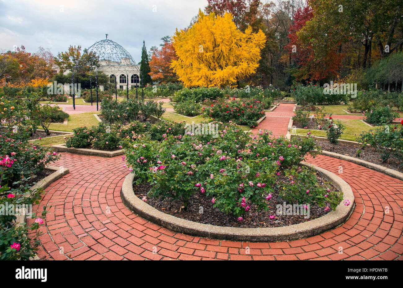 The rose garden area of Birmingham Botanical Gardens in Mississippi during the fall season Stock