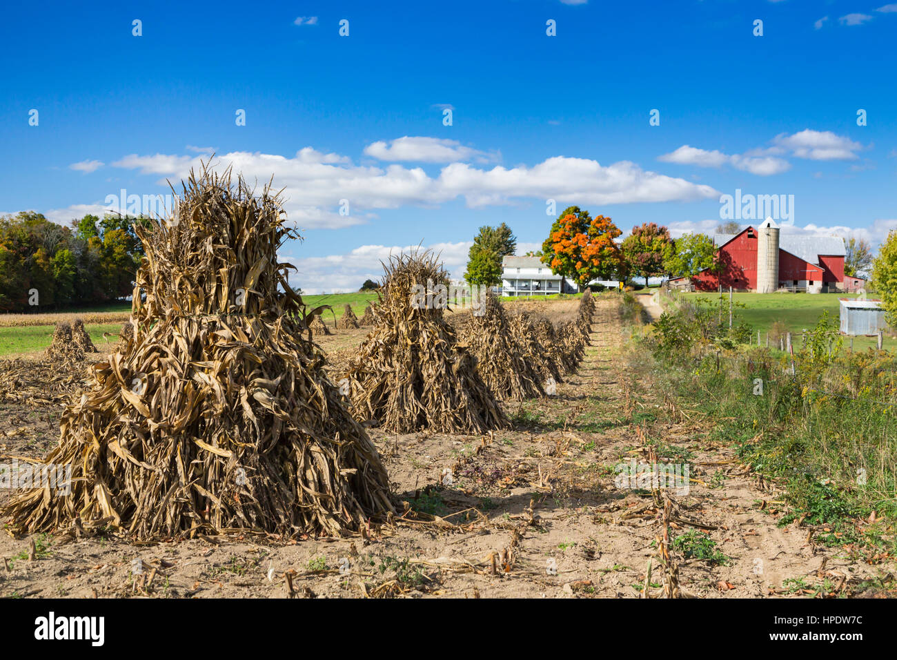 Corn Shocks High Resolution Stock Photography and Images Alamy