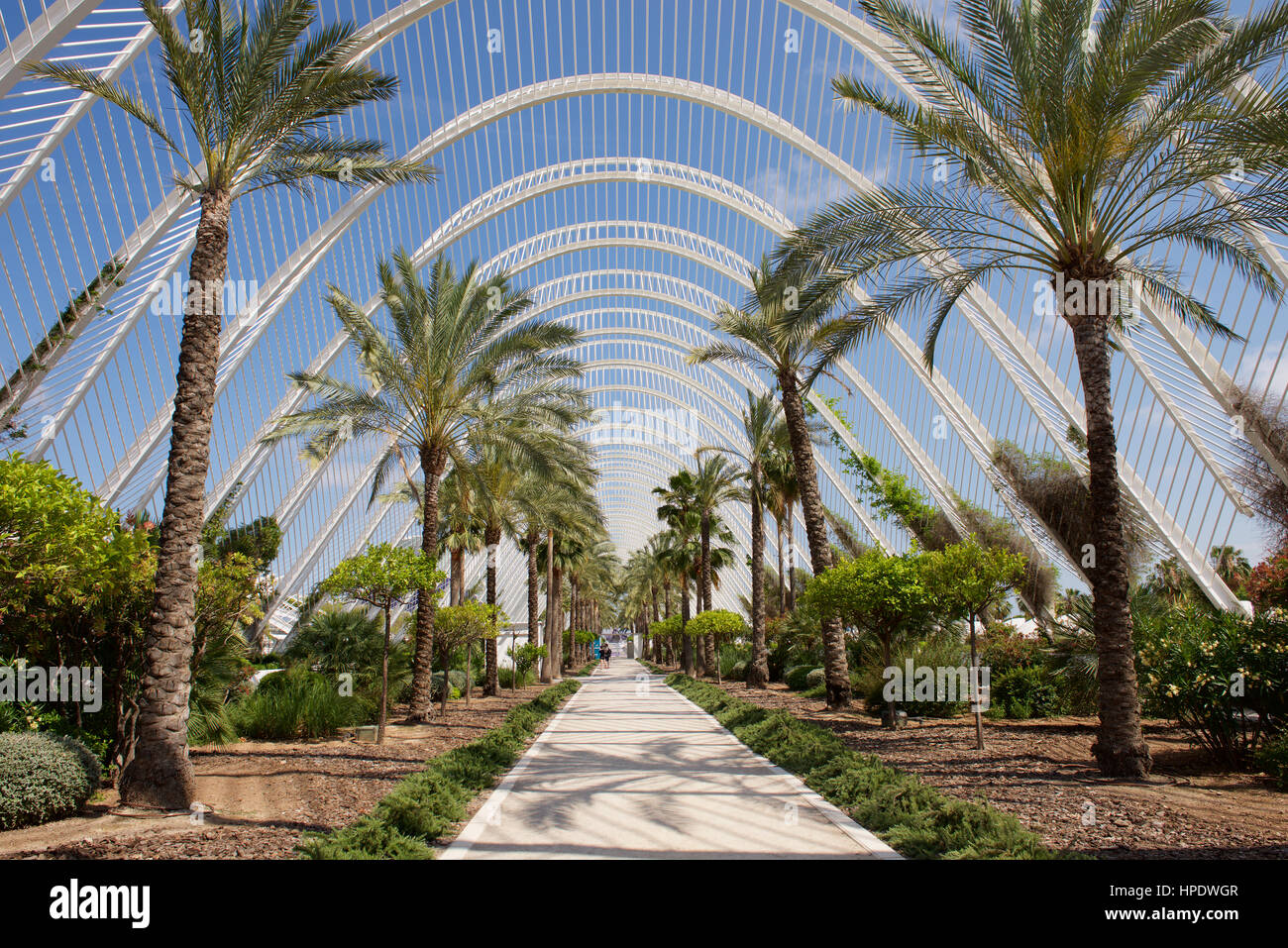 L`umbracle in valencia hi-res stock photography and images - Alamy