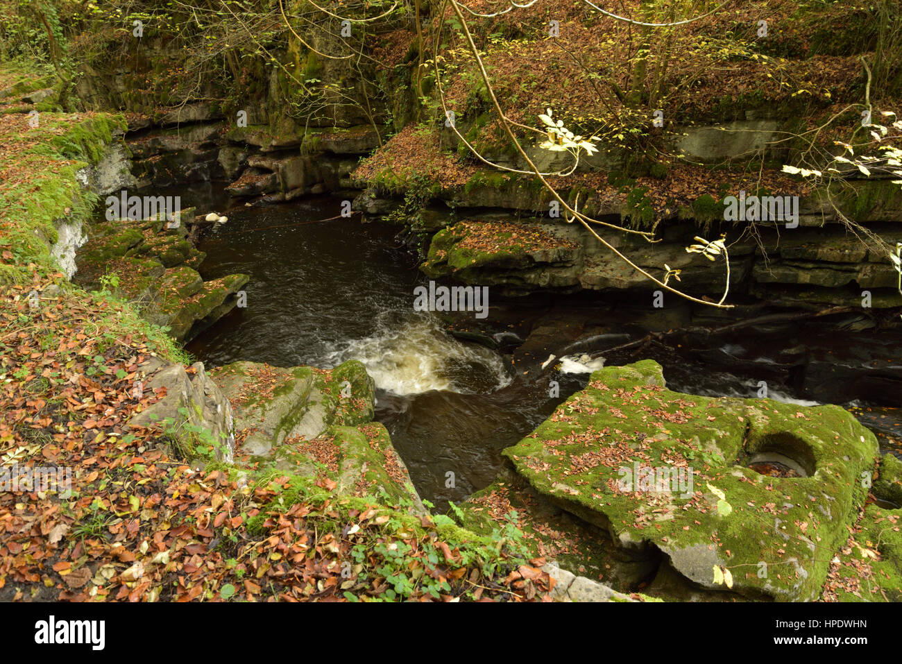 The Taf Fechan River Swirling in Limestone Carved into Curved Shapes Stock Photo