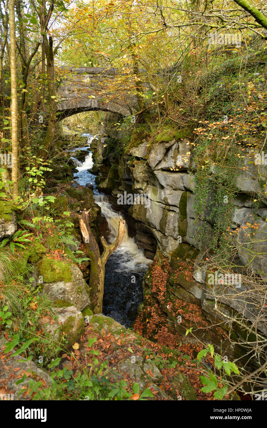 The Taf Fechan Tumbles through a Limestone Gorge below the Pont-sarn Bridge, Merthyr Tydfil Stock Photo