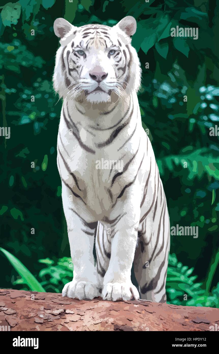 Omar the White Tiger. Stock Vector