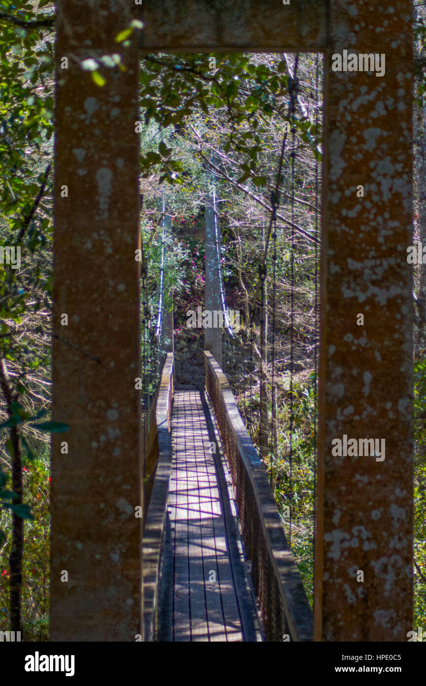 Suspension Cable Foot Bridge Ravine Gardens Palatka Stock Photo Alamy
