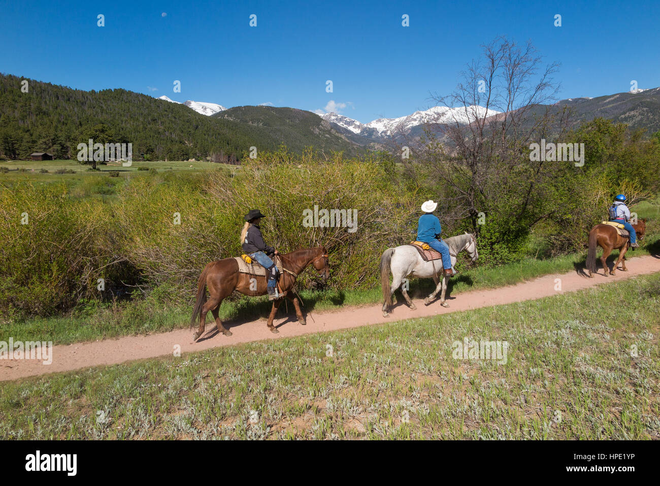 Guided horseback riding tour through the valleys of the Rocky Mountain National Park Stock Photo