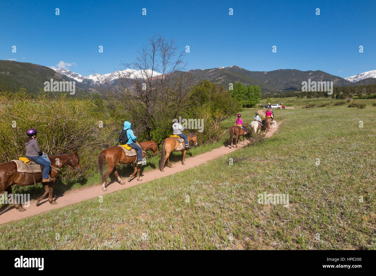 Guided horseback riding tour through the valleys of the Rocky Mountain National Park Stock Photo