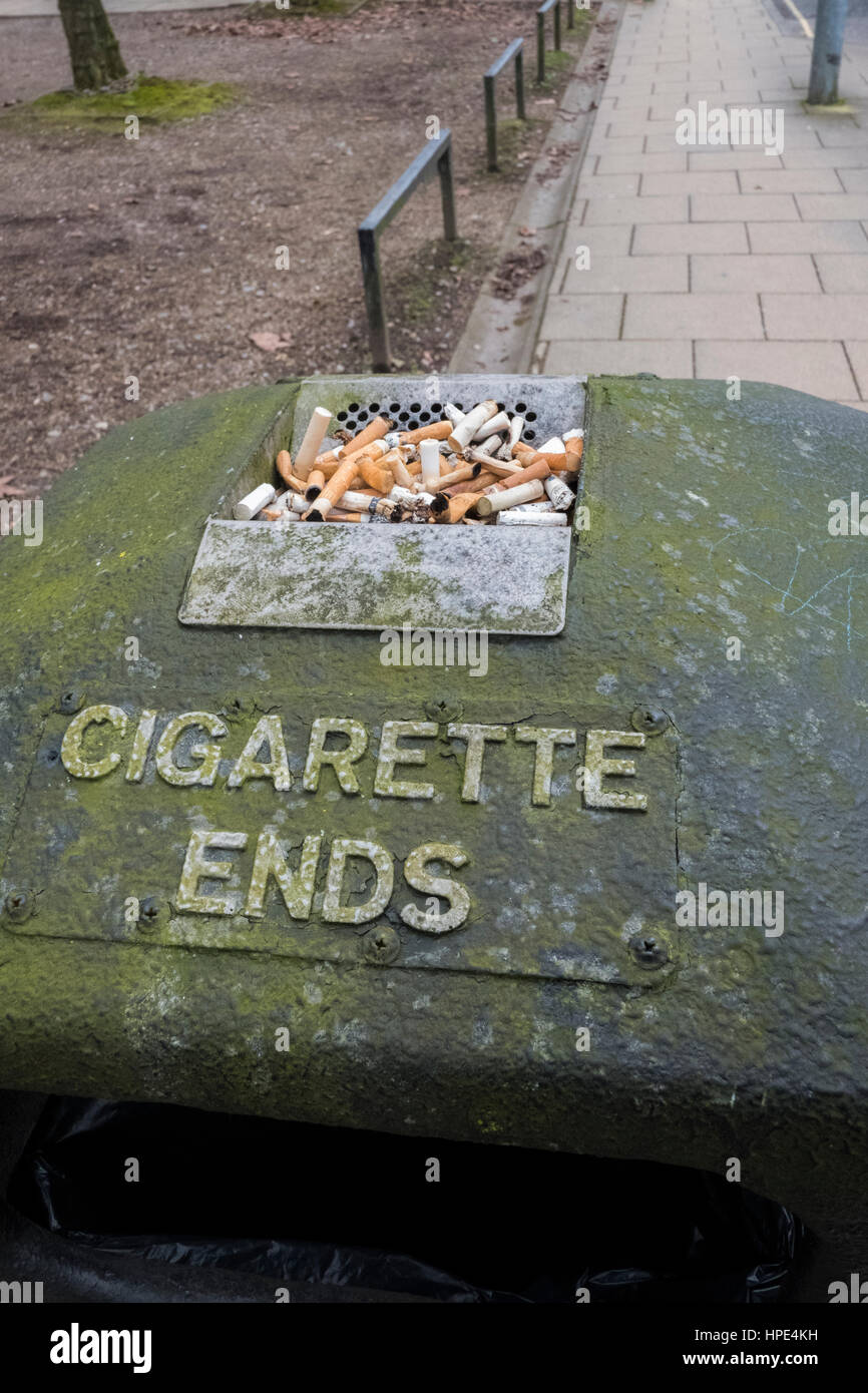 Cigarette Butts in top of litter bins in Winchester Hampshire Stock Photo
