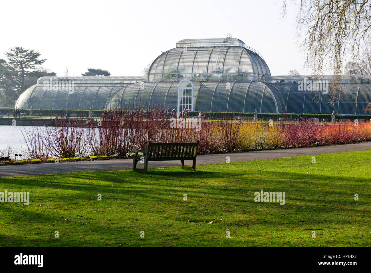 Orchids Exhibition,Tropical Plants,Kew Garden Stock Photo