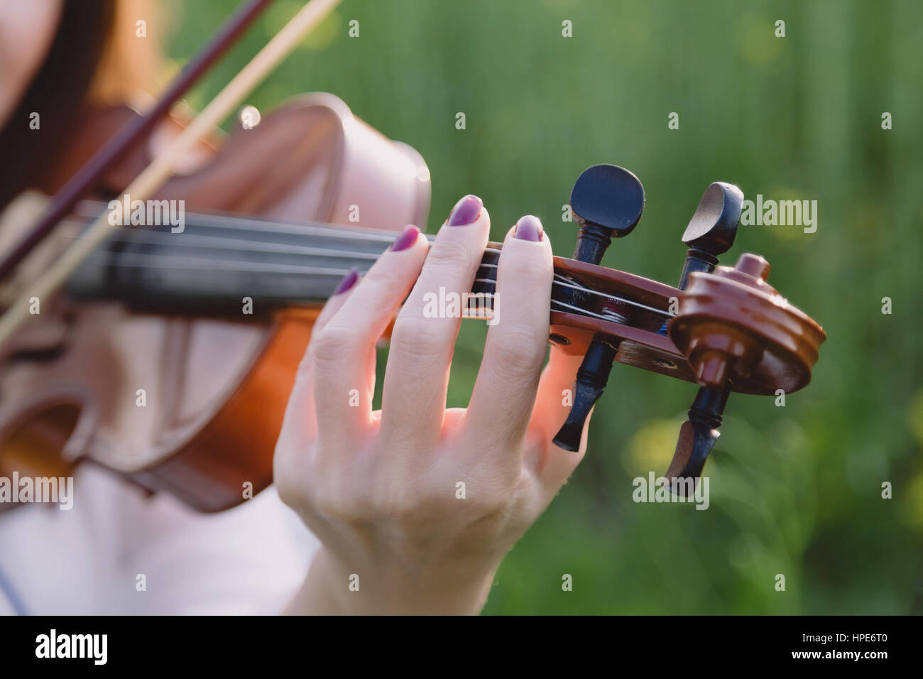 Young woman playing violin in a field at sunset Stock Photo - Alamy