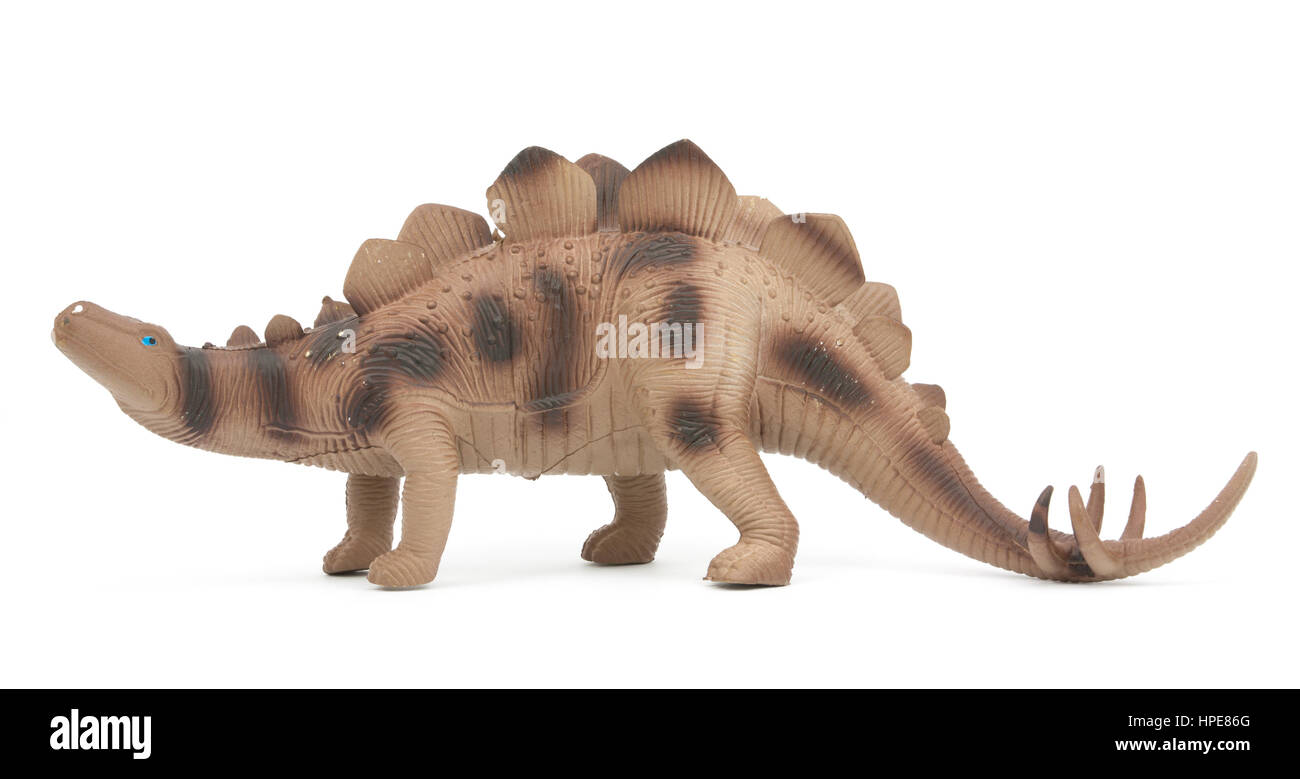 Stegosaurus dinosaur isolated on white background Stock Photo - Alamy