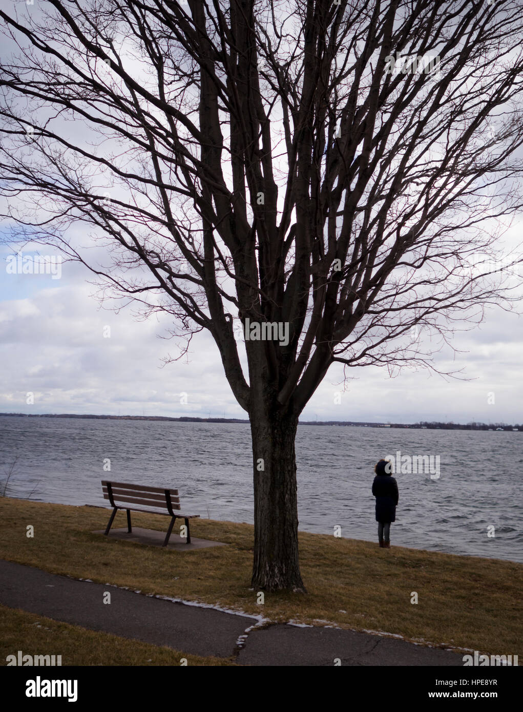 Lady Alone Thinking Watching Waterfront in Kingston Ontario, Canada standing in front of a Tree Stock Photo