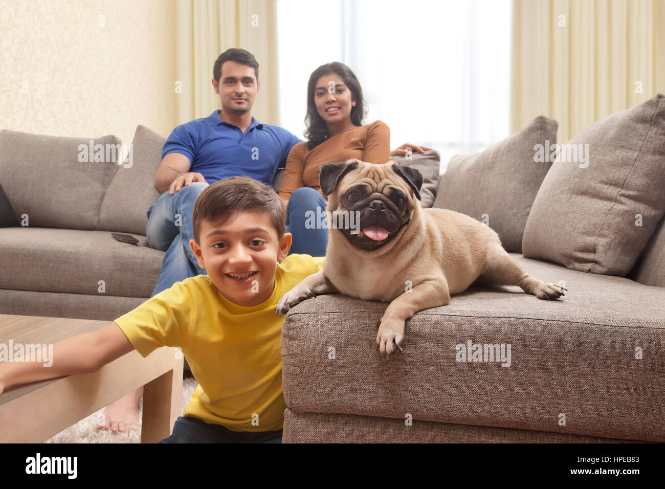 Close-up of a boy with pug and parents sitting on sofa in background Stock Photo