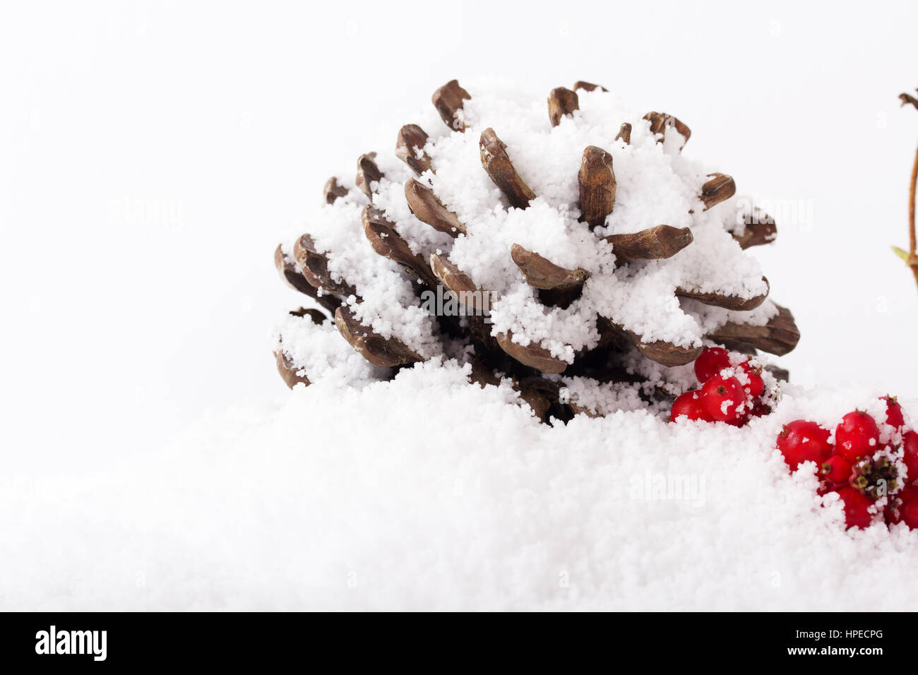 Pine cone and red berries covered in white snow Stock Photo - Alamy