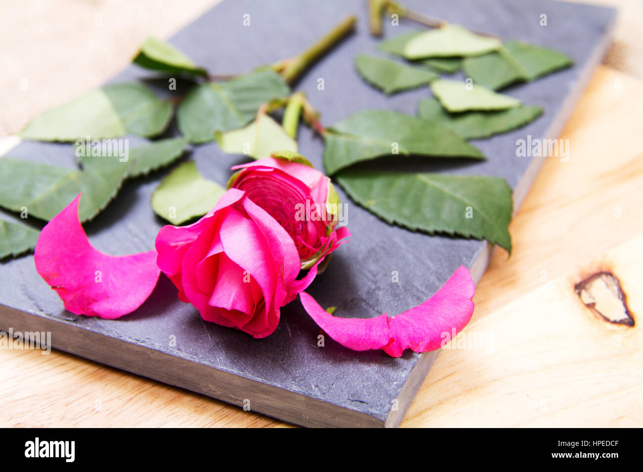 Single rose cut up on piece of slate Stock Photo - Alamy