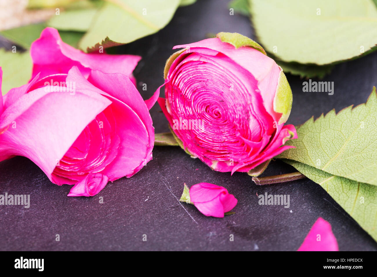 Single rose cut up on piece of slate Stock Photo - Alamy