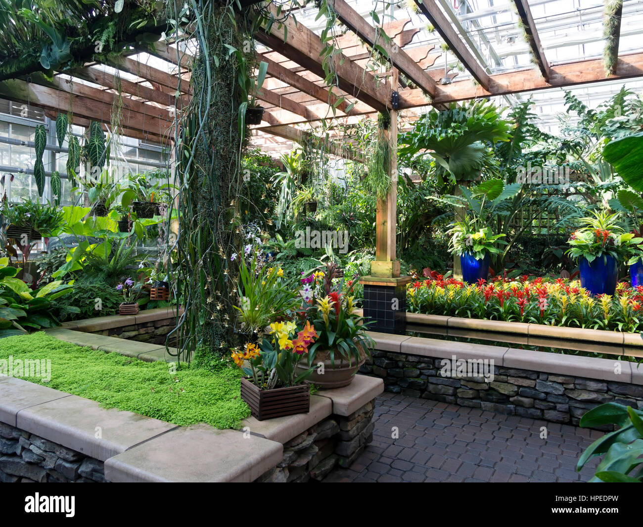 Orchid Garden Atlanta Botanical Garden Stock Photo 134313169 Alamy