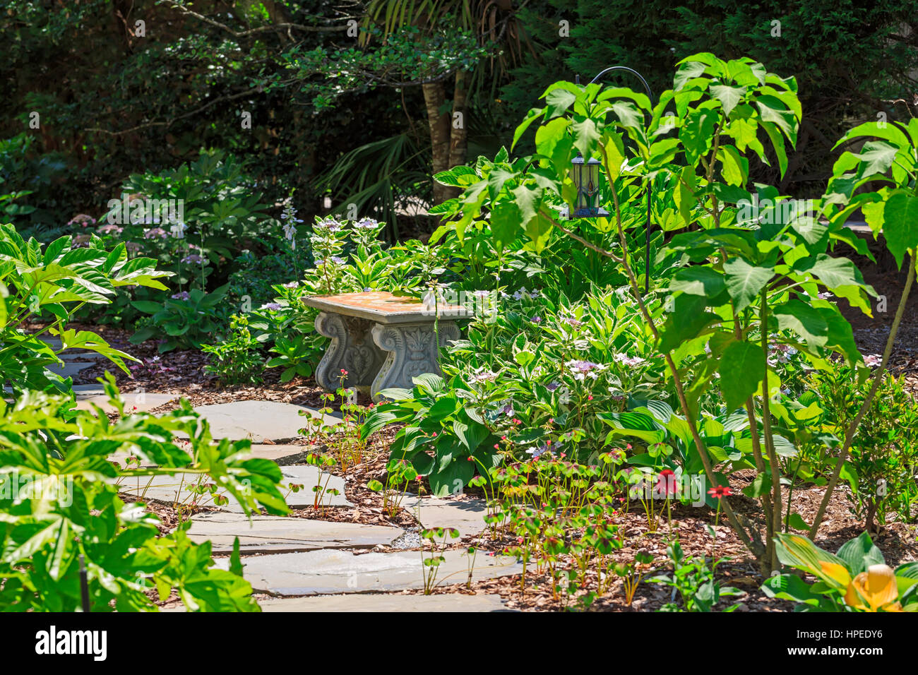 Garden path in South Carolina Stock Photo