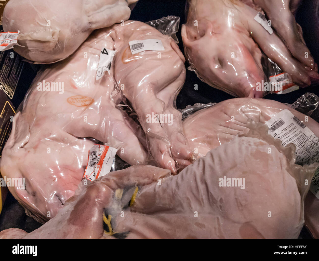 Frozen piglets, welded in plastic foil, are displayed for sale in a refrigerator at a supermarket in Barcelona, Spain. Stock Photo