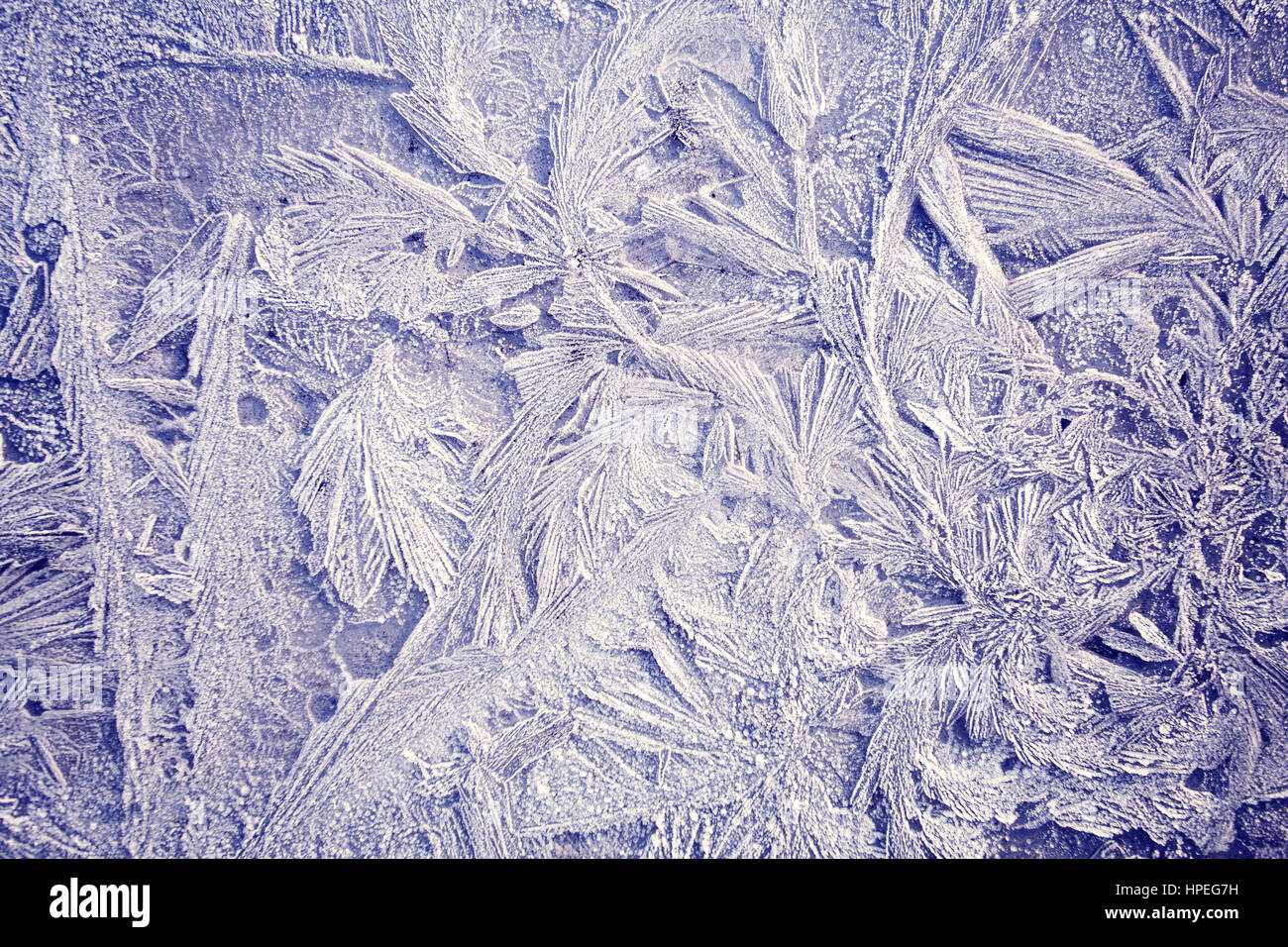 macro close up of Ice patterns on winter glass window Stock Photo