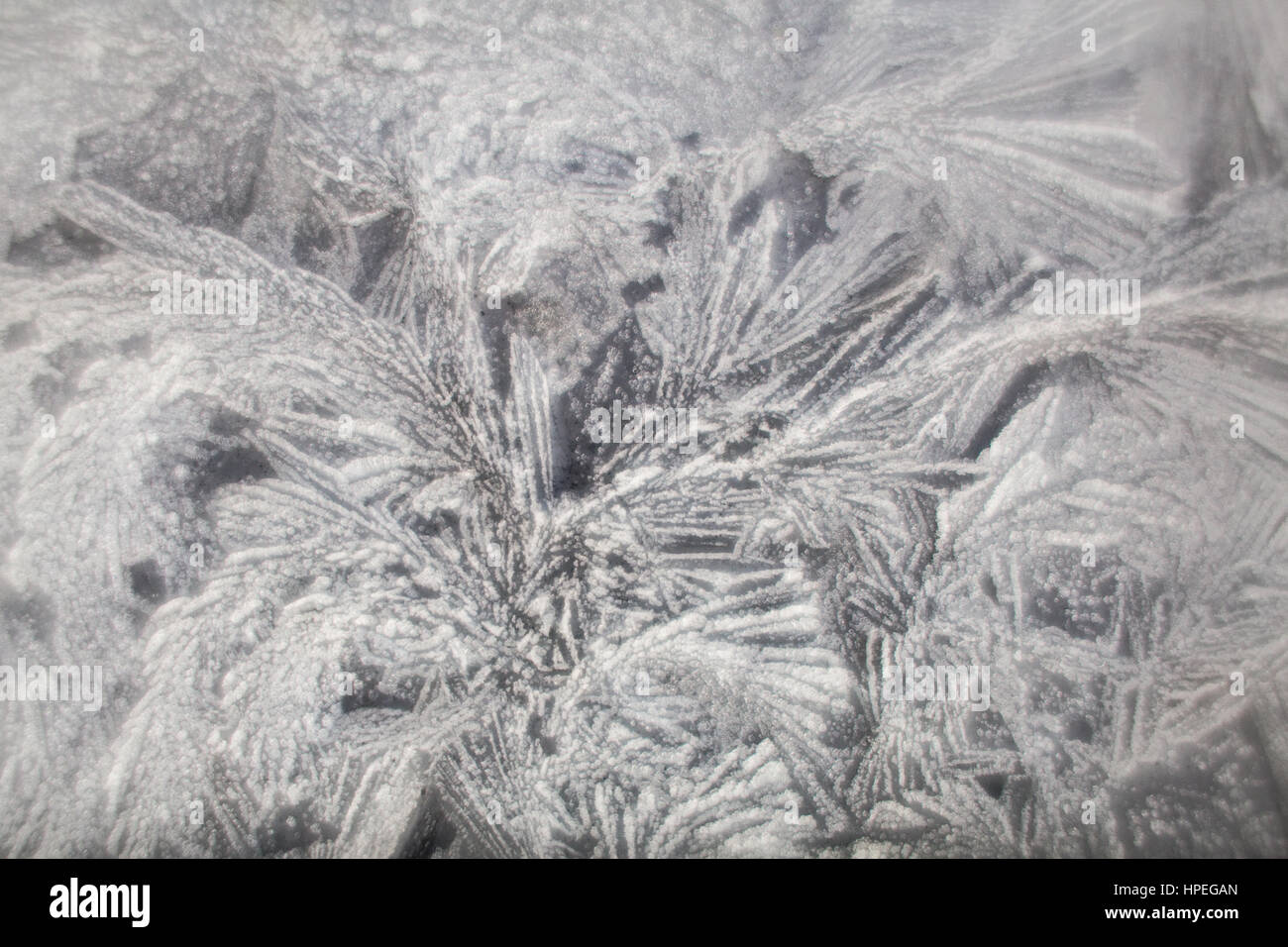 Ice patterns on winter window glass in black and white Stock Photo - Alamy