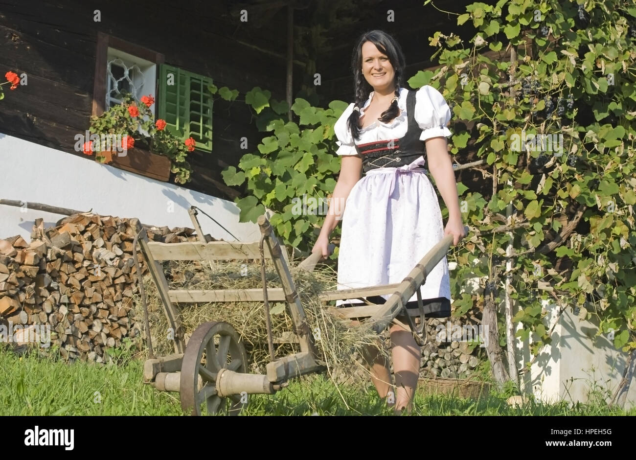 Jungbaeuerin im Dirndl mit Schubkarre - young farmers wife Stock Photo
