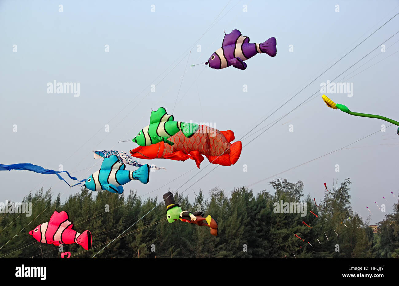 Makar sankranti kites hires stock photography and images Alamy