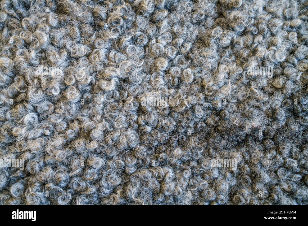 Blanket made of Lambs wool Stock Photo