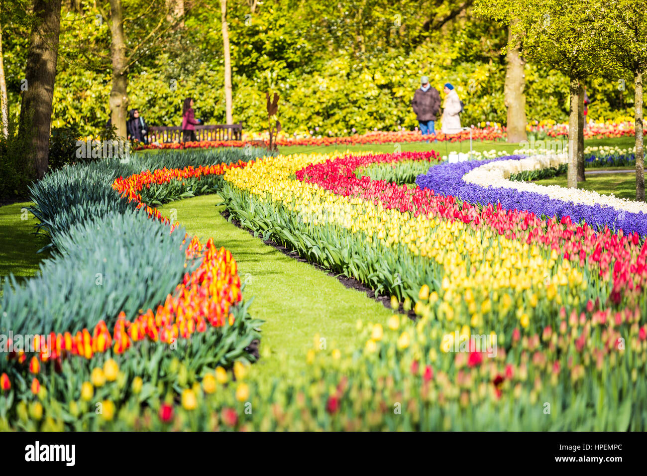 Tulips and flowers at Keukenhof gardens, Lisse, Netherlands Stock Photo