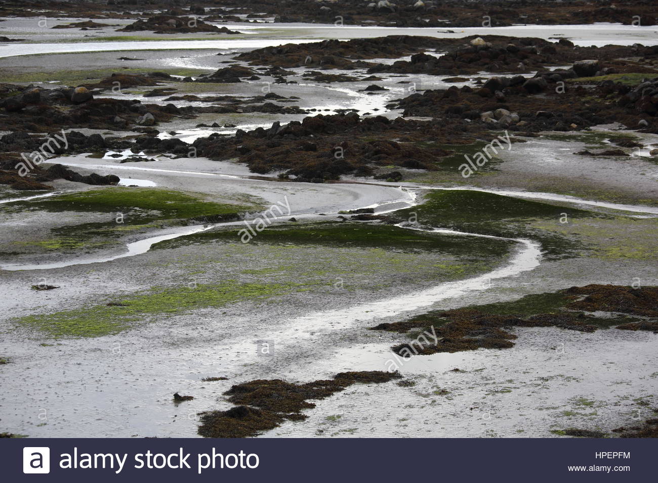 Irish landscape of stone and water at the seashore in Connemara, ireland Stock Photo