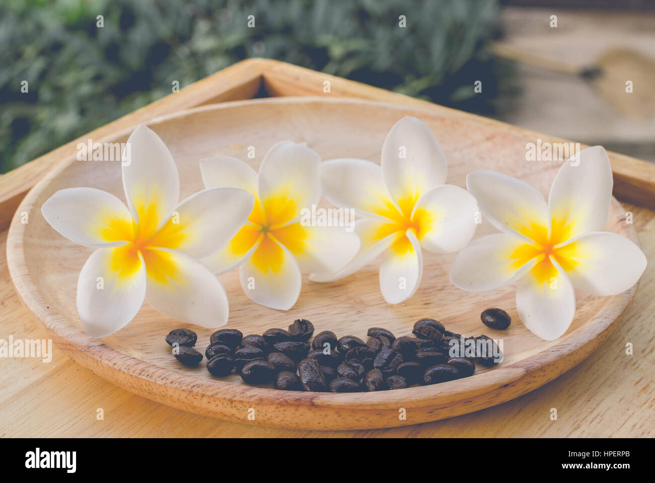 coffee bean make good taste and good delicious Stock Photo