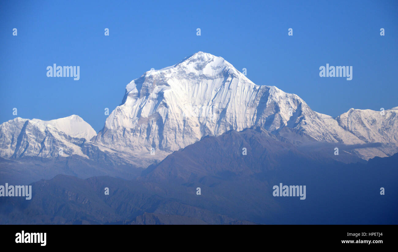 Sunrise on the Summit of Dhaulagri at 8172m the Worlds 7th Highest Peak from Poon Hill in the Annapurna Sanctuary, Himalayas, Nepal, Asia. Stock Photo