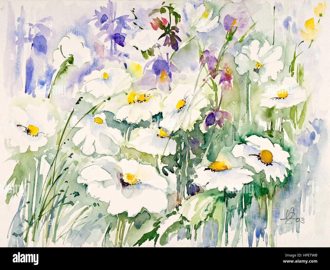Watercolor by Waltraud Zizelmann, Margeritenwiese, flower meadow Stock Photo