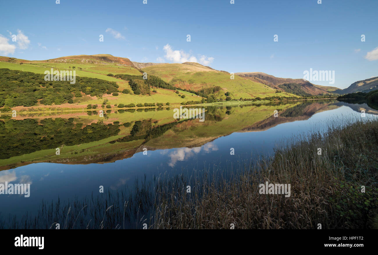 Tal y llyn lake hi-res stock photography and images - Alamy